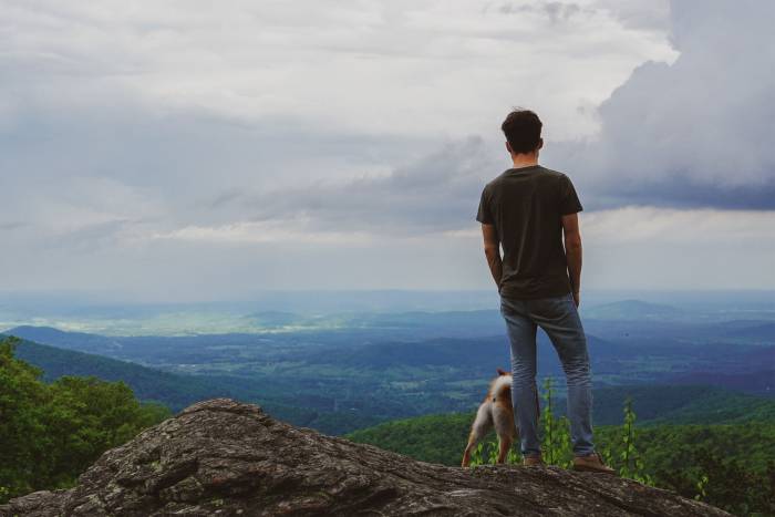 Best National Parks to Visit With Dogs