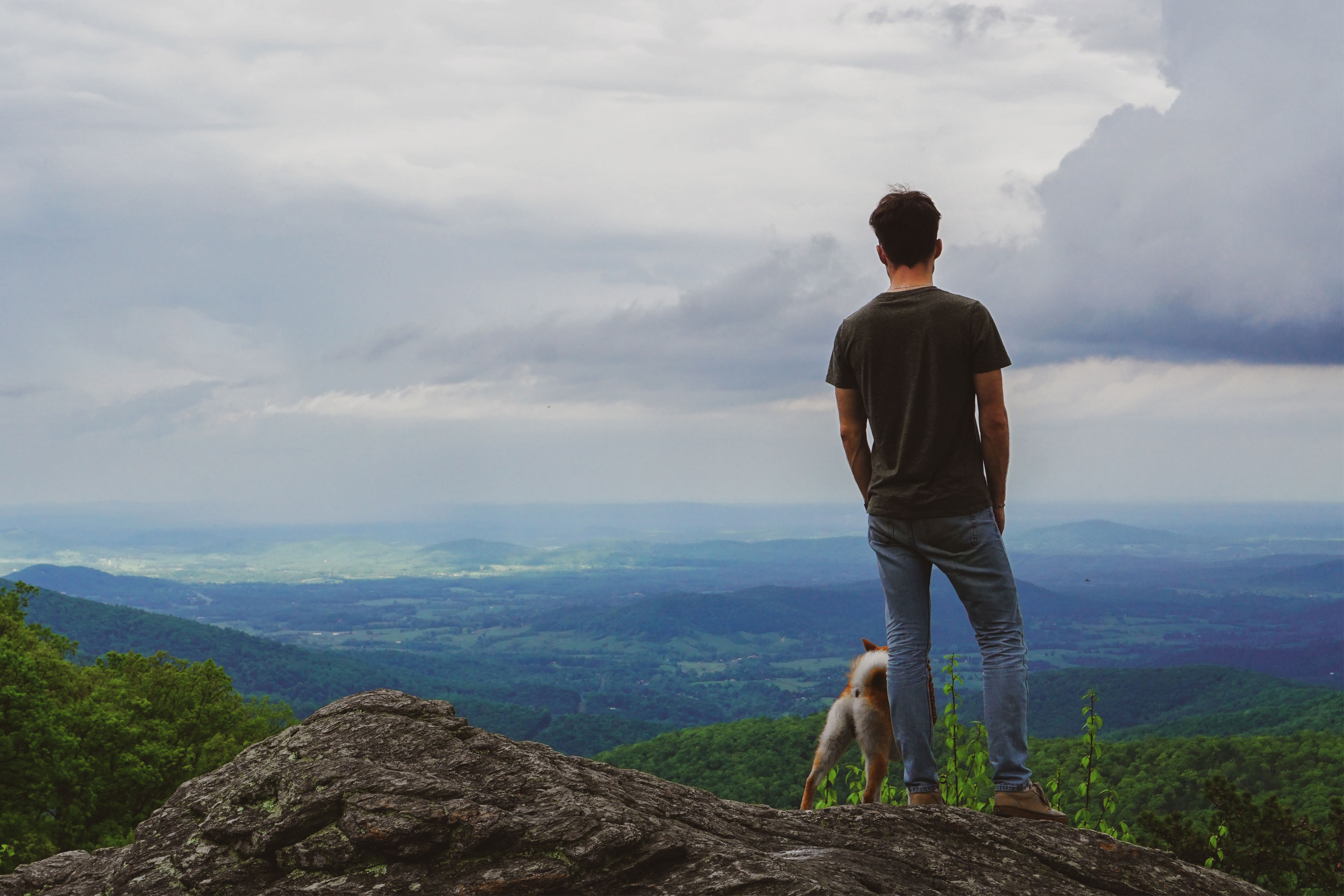 The 7 Best National Parks to Visit With Dogs