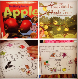 Peek at My Week…Apples!