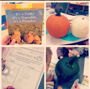 Peek at my Week…Pumpkins